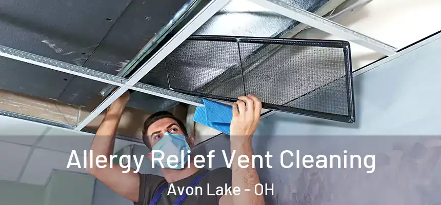  Allergy Relief Vent Cleaning Avon Lake - OH