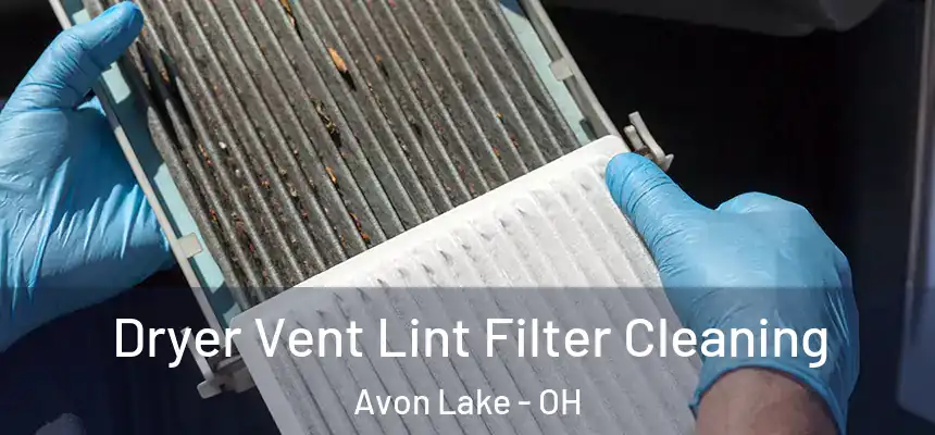  Dryer Vent Lint Filter Cleaning Avon Lake - OH