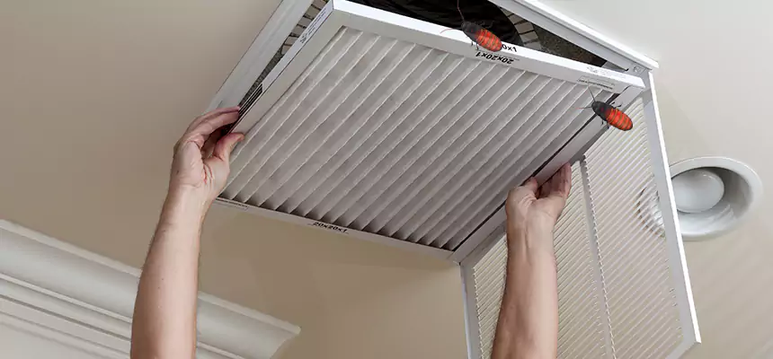Preventive Cockroach-Proofing for Ducts in Avon Lake