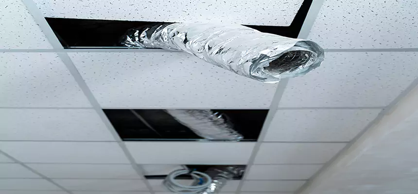 Our Air Duct Pet Hair Removal Services in Avon Lake, OH