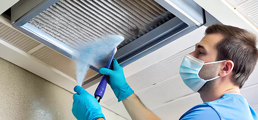 Proactive Dryer Vent & Auxiliary Duct Pollen Cleanup in Avon Lake, OH