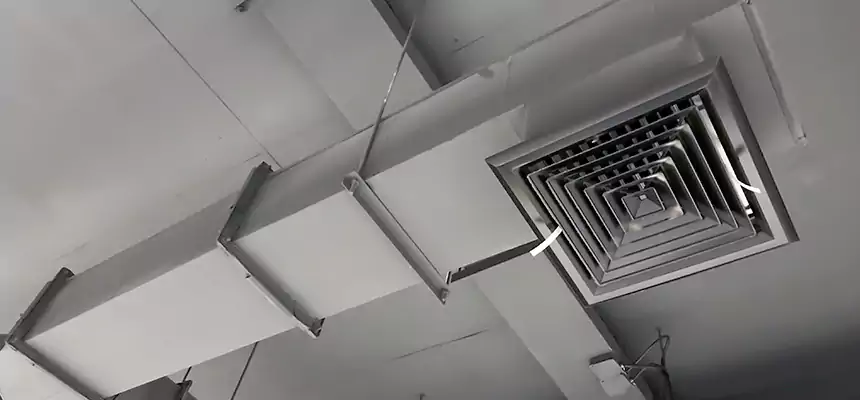 Our Rodent Droppings In Vents Services in Avon Lake, OH