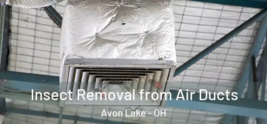Insect Removal from Air Ducts Avon Lake - OH