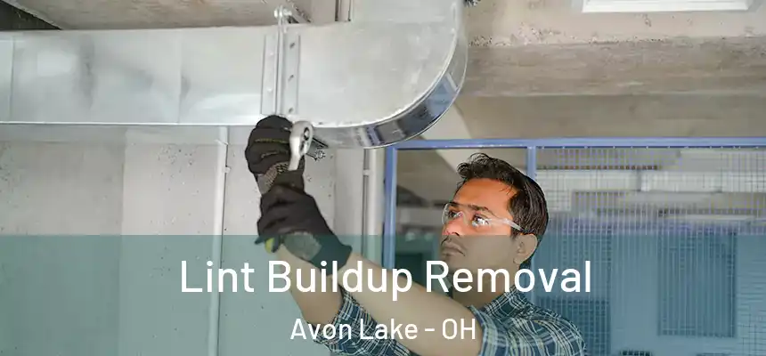  Lint Buildup Removal Avon Lake - OH