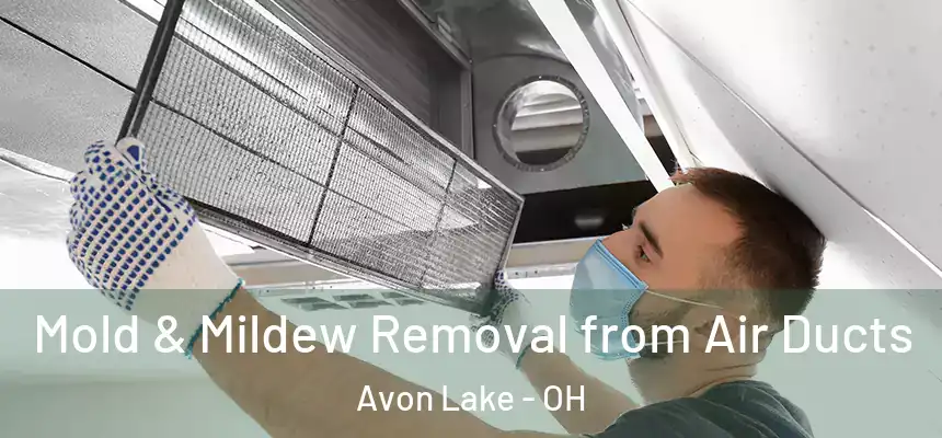 Mold & Mildew Removal from Air Ducts Avon Lake - OH