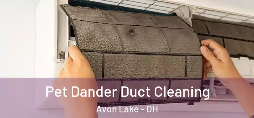 Pet Dander Duct Cleaning Avon Lake - OH