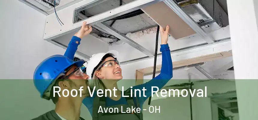  Roof Vent Lint Removal Avon Lake - OH