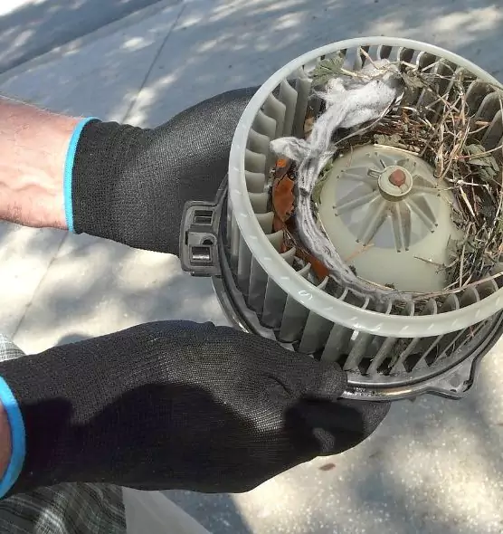 About Air Duct Rat Removal in Avon Lake, OH